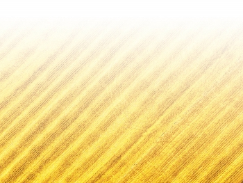 智能農(nóng)機、“訂單”服務(wù)、“云端”種菜——來自江西的春耕“新事”